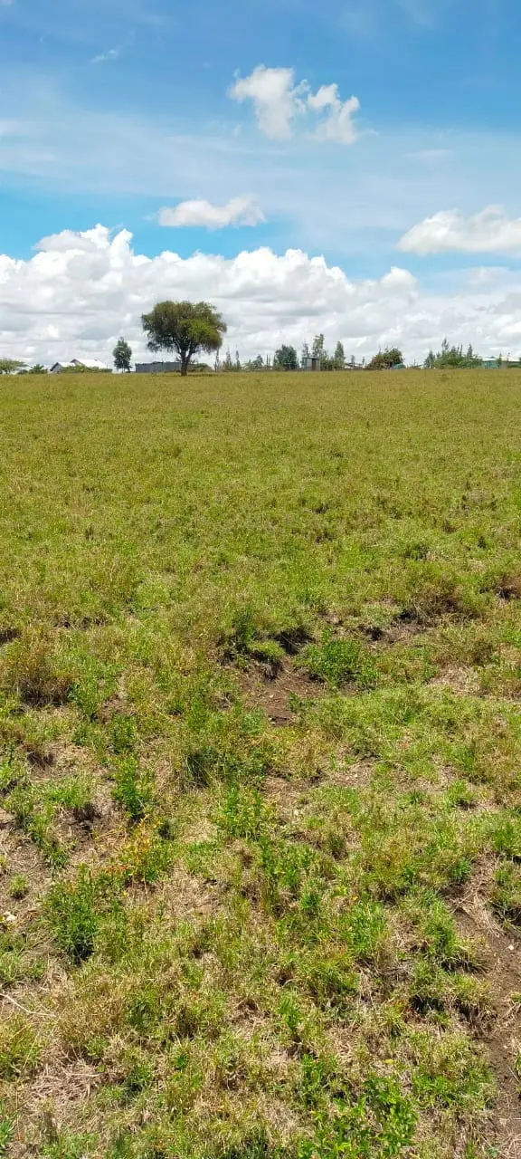 70 Acres in Kitengela, Acacia